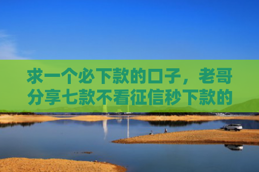 求一个必下款的口子，老哥分享七款不看征信秒下款的平台
