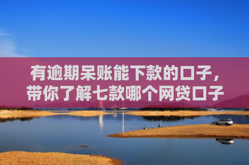 有逾期呆账能下款的口子，带你了解七款哪个网贷口子下款快