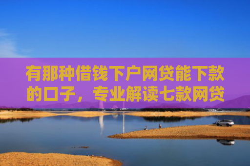 有那种借钱下户网贷能下款的口子，专业解读七款网贷下款口子怎么找