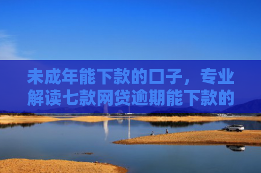 未成年能下款的口子，专业解读七款网贷逾期能下款的口子
