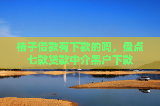 桔子借款有下款的吗，盘点七款贷款中介黑户下款