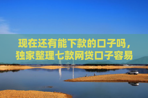 现在还有能下款的口子吗，独家整理七款网贷口子容易下款