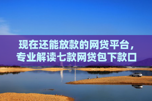 现在还能放款的网贷平台，专业解读七款网贷包下款口子
