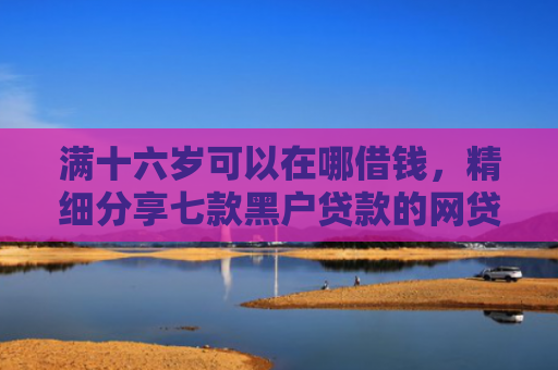 满十六岁可以在哪借钱，精细分享七款黑户贷款的网贷能下款吗
