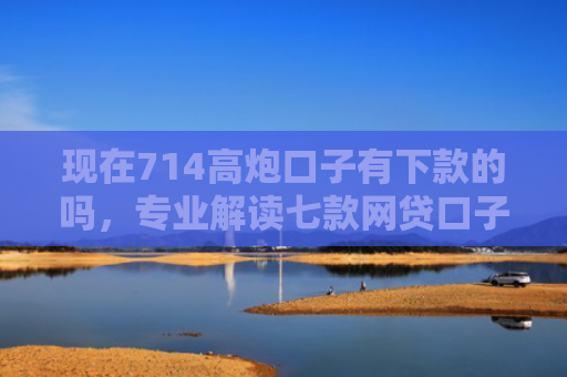 现在714高炮口子有下款的吗，专业解读七款网贷口子下款图片