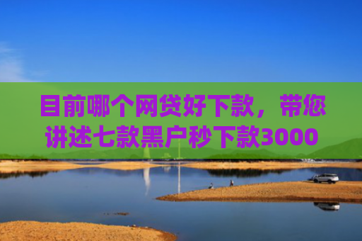 目前哪个网贷好下款，带您讲述七款黑户秒下款3000的app