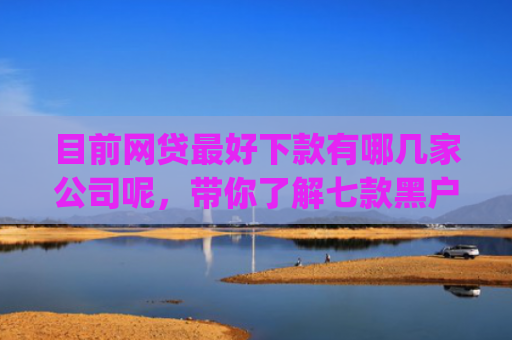 目前网贷最好下款有哪几家公司呢，带你了解七款黑户在逾期能下款app