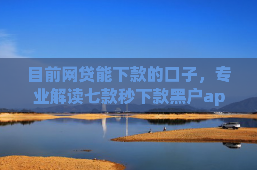 目前网贷能下款的口子，专业解读七款秒下款黑户app6