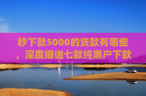 秒下款5000的贷款有哪些，深度细说七款纯黑户下款app