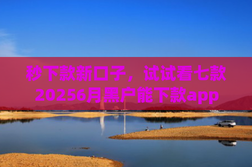 秒下款新口子，试试看七款20256月黑户能下款app