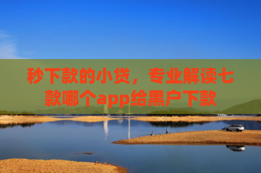秒下款的小贷，专业解读七款哪个app给黑户下款