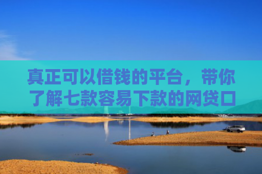 真正可以借钱的平台，带你了解七款容易下款的网贷口子高