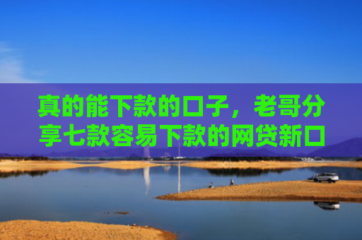 真的能下款的口子，老哥分享七款容易下款的网贷新口子