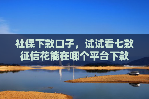 社保下款口子，试试看七款征信花能在哪个平台下款