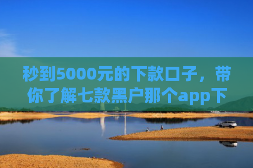 秒到5000元的下款口子，带你了解七款黑户那个app下款