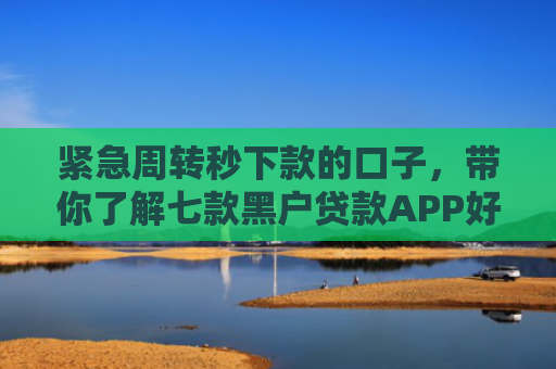 紧急周转秒下款的口子，带你了解七款黑户贷款APP好下款