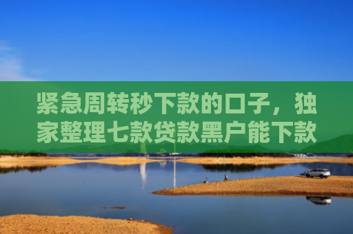 紧急周转秒下款的口子，独家整理七款贷款黑户能下款的