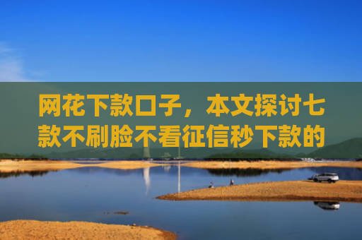 网花下款口子，本文探讨七款不刷脸不看征信秒下款的app
