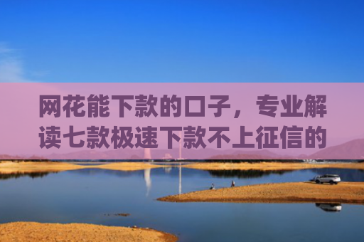 网花能下款的口子，专业解读七款极速下款不上征信的app有什么
