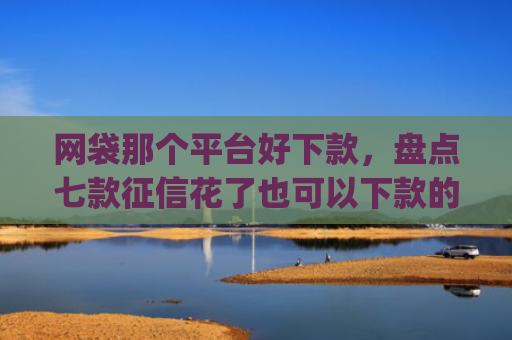 网袋那个平台好下款，盘点七款征信花了也可以下款的app