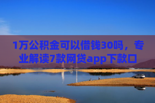 1万公积金可以借钱30吗，专业解读7款网贷app下款口子
