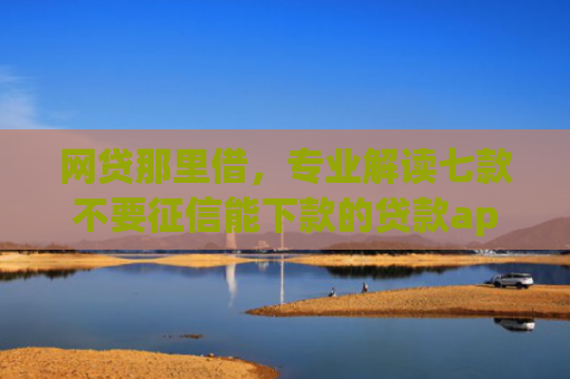 网贷那里借，专业解读七款不要征信能下款的贷款app