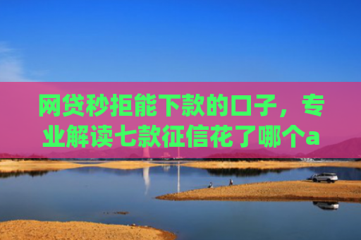 网贷秒拒能下款的口子，专业解读七款征信花了哪个app可以下款
