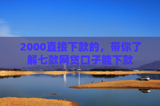 2000直接下款的，带你了解七款网贷口子能下款