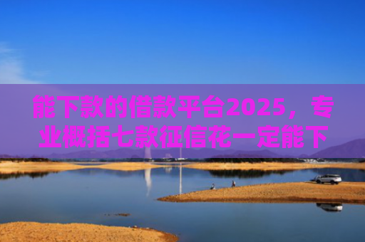 能下款的借款平台2025，专业概括七款征信花一定能下款的网贷