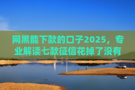 网黑能下款的口子2025，专业解读七款征信花掉了没有一家app下款