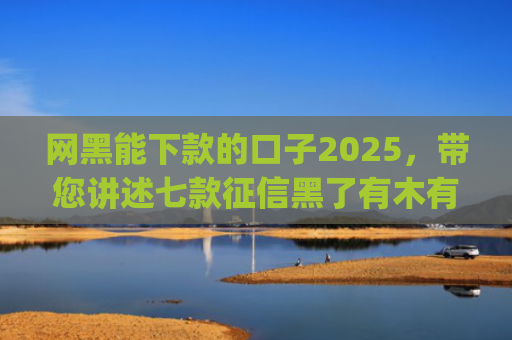 网黑能下款的口子2025，带您讲述七款征信黑了有木有能下款的app