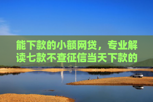能下款的小额网贷，专业解读七款不查征信当天下款的平台
