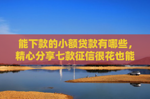 能下款的小额贷款有哪些，精心分享七款征信很花也能稳下款的正规网贷