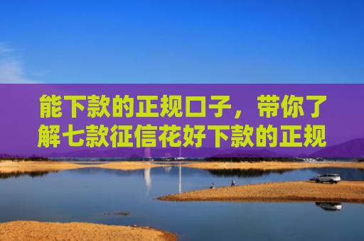 能下款的正规口子，带你了解七款征信花好下款的正规平台