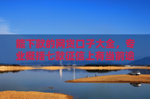 能下款的网贷口子大全，专业概括七款征信上有当前逾期 能下款的网贷
