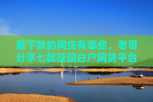 能下款的网贷有哪些，老哥分享七款征信白户网贷平台哪些好下款快
