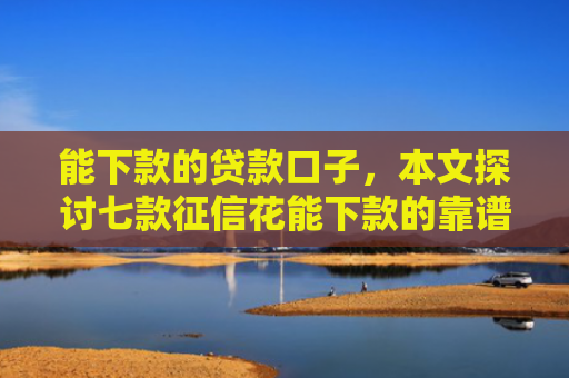 能下款的贷款口子，本文探讨七款征信花能下款的靠谱网贷