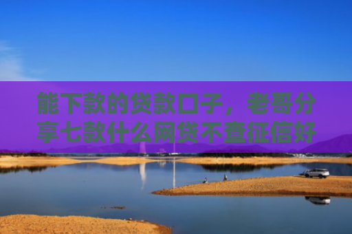 能下款的贷款口子，老哥分享七款什么网贷不查征信好下款不看年龄