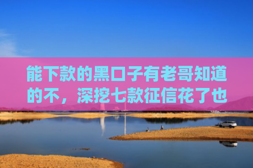 能下款的黑口子有老哥知道的不，深挖七款征信花了也能下款的网贷app