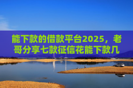 能下款的借款平台2025，老哥分享七款征信花能下款几百的网贷