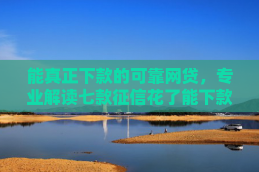 能真正下款的可靠网贷，专业解读七款征信花了能下款平台