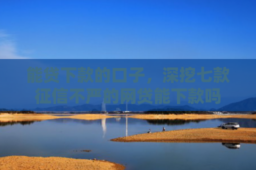 能贷下款的口子，深挖七款征信不严的网贷能下款吗