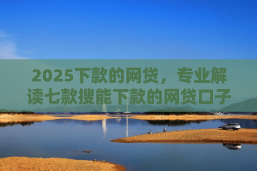 2025下款的网贷，专业解读七款搜能下款的网贷口子