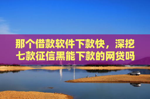 那个借款软件下款快，深挖七款征信黑能下款的网贷吗