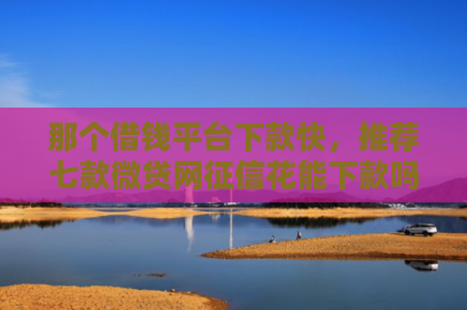 那个借钱平台下款快，推荐七款微贷网征信花能下款吗