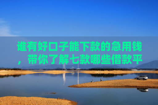 谁有好口子能下款的急用钱，带你了解七款哪些借款平台征信花了可以下款