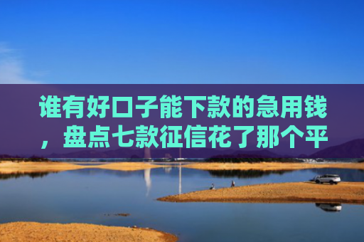 谁有好口子能下款的急用钱，盘点七款征信花了那个平台还可以下款
