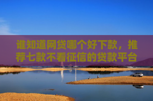 谁知道网贷哪个好下款，推荐七款不看征信的贷款平台一定能下款