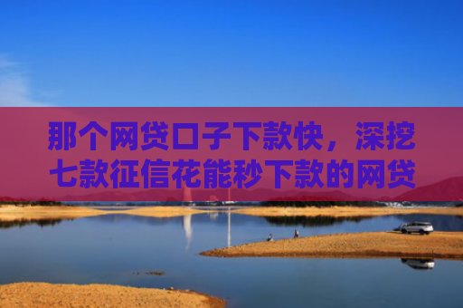 那个网贷口子下款快，深挖七款征信花能秒下款的网贷