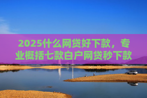 2025什么网贷好下款，专业概括七款白户网贷秒下款口子